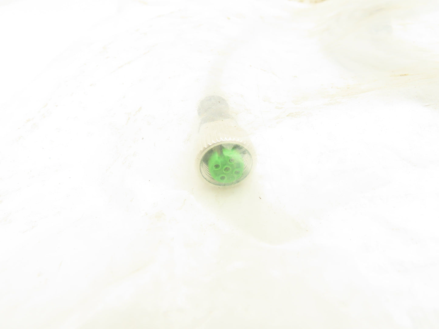 Automation Direct/Murr Elektronik CDP12-0B-030-AA Patch Cable M12 3M Lot Of 2