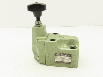 Shang Yu BG-03 Hydraulic Adjustable Pressure Relief Valve