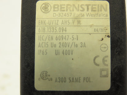 Bernstein ENK-UV1Z AHS-V Limit Switch 500V 10A 30mm Arm Plastic Roller Lot of 2