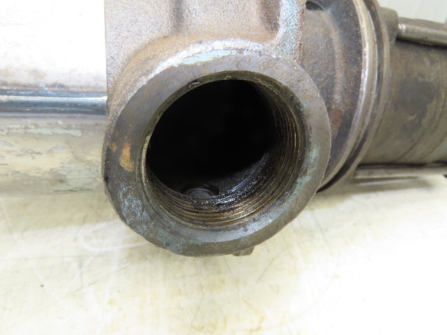 Teral Vertical Immersion Coolant Pump 230V 1-1/2" NPT Port