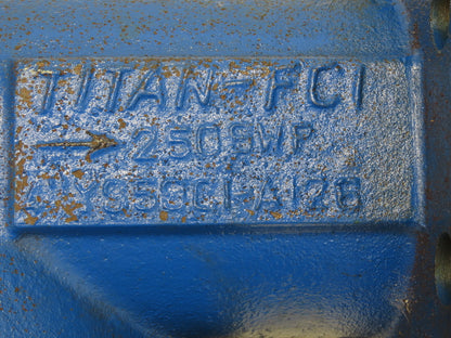 Titan FCI YS59 Cast Iron Wye Strainer 4" Y Class 250 SWP