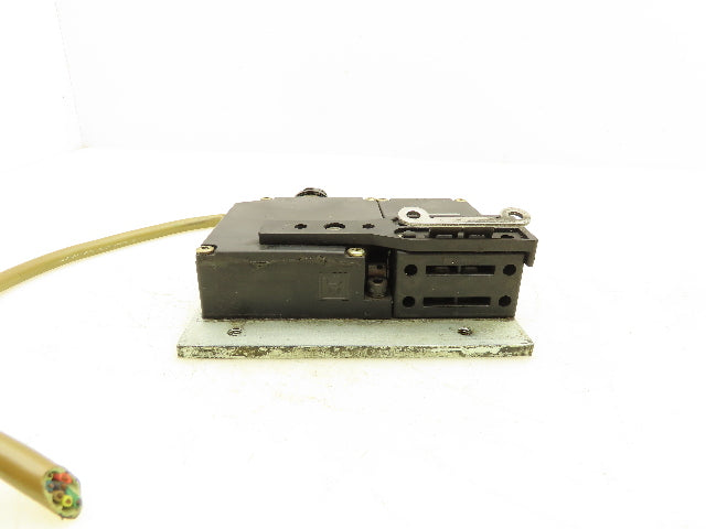 Schmersal 160-13YPA Safety Interlock Door Switch