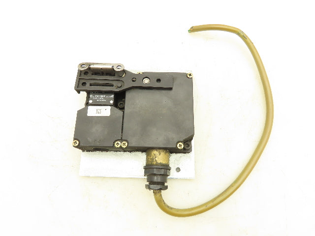 Schmersal 160-13YPA Safety Interlock Door Switch