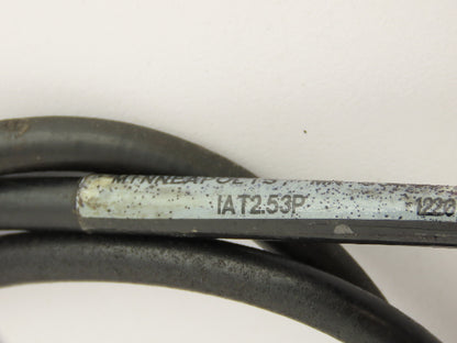 Banner IAT2.53P Glass Fiber Optic Sensor 36" Long Lot of 2