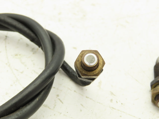 Banner IAT2.53P Glass Fiber Optic Sensor 36" Long Lot of 2