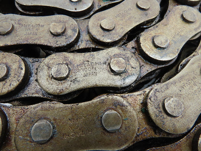 Hitachi 100N 2-Strand Double Roller Chain 1.25" Pitch 8' 4"L