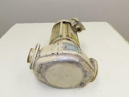 Ebara 50LPS Stainless In-line Centrifugal Pump 105gpm 220V 3PH 2" Threaded DN50