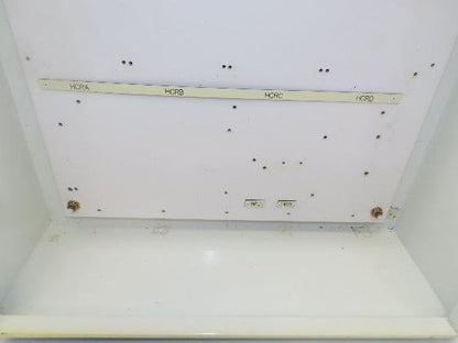 Hoffman A302408LP Electrical Enclosure Control Panel 30x24x8" Backplate