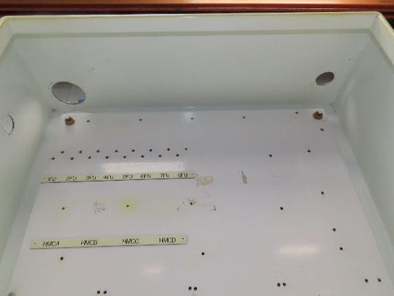 Hoffman A302408LP Electrical Enclosure Control Panel 30x24x8" Backplate