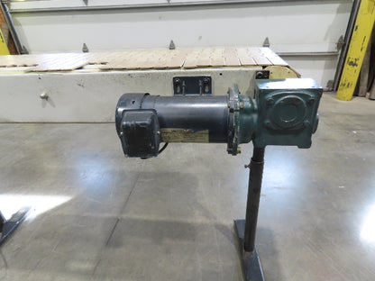 12"x 56"L Plastic Tabletop Belt Bottle Conveyor Adj Height 90VDC 200 FPM