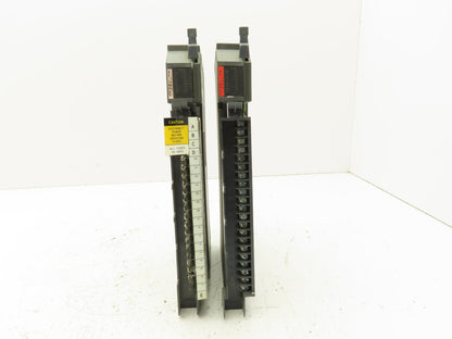 Allen Bradley 1771-IAD/C 120V AC/DC Input Module Lot of 2