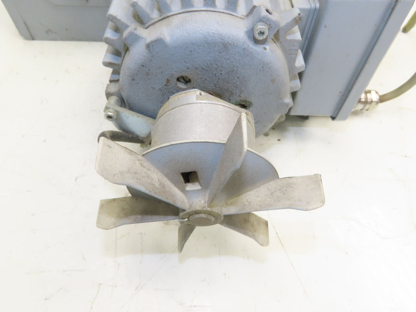 Stober K21R F202AG 71L4 Gearmotor .37kw 480V 38rpm 35.4:1 Hollow Shaft w/Encoder