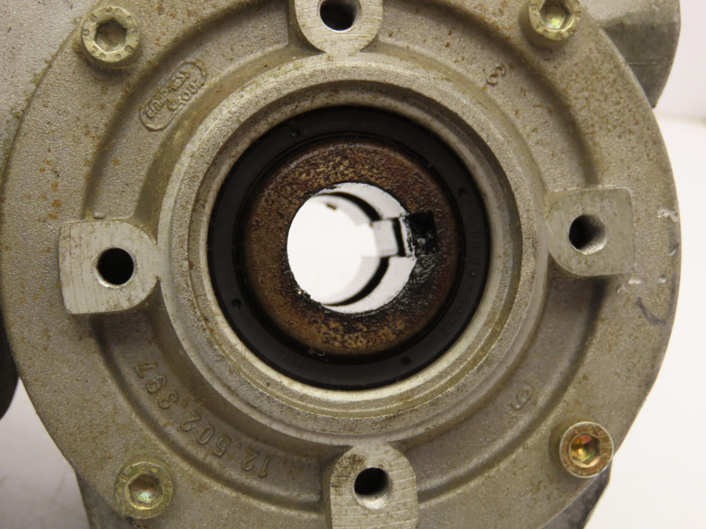 Cemp Bonfiglioli MVF 44/F Gearmotor 14:1 Reducer Hollow Shaft 115rpm .18kw 480V