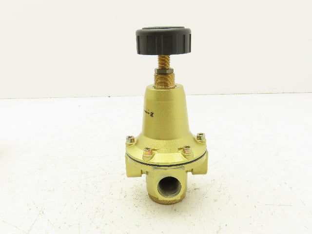 Riegler 737.504 Constant Pressure Regulator 1/2 "NPT 230 PSI