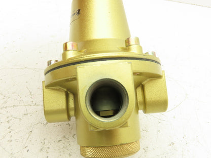 Riegler 737.504 Constant Pressure Regulator 1/2 "NPT 230 PSI