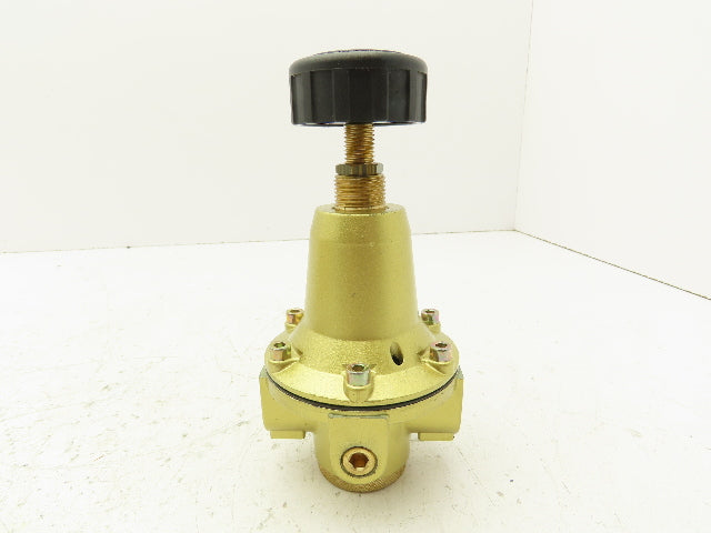 Riegler 737.504 Constant Pressure Regulator 1/2 "NPT 230 PSI