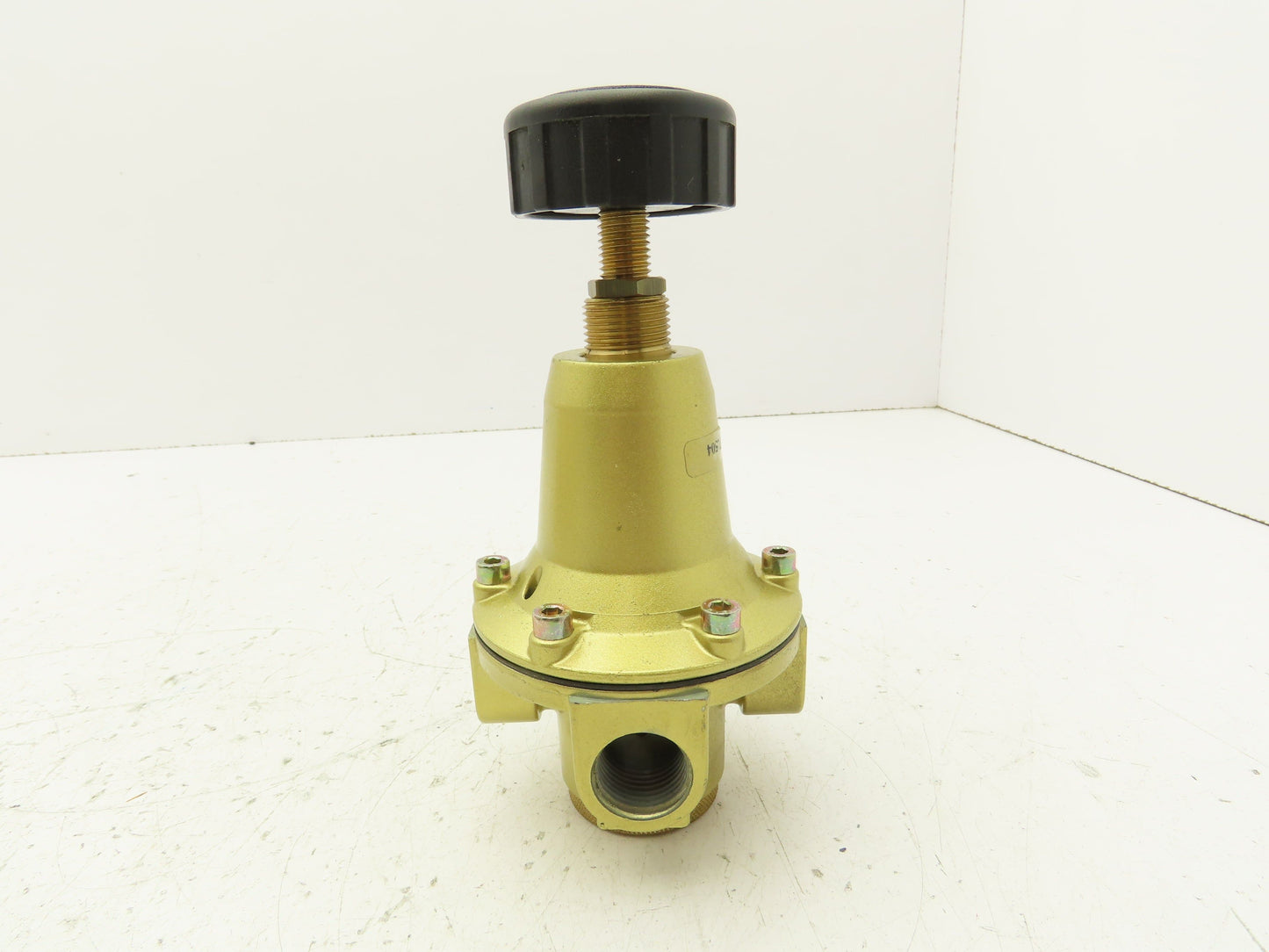Riegler 737.504 Constant Pressure Regulator 1/2 "NPT 230 PSI