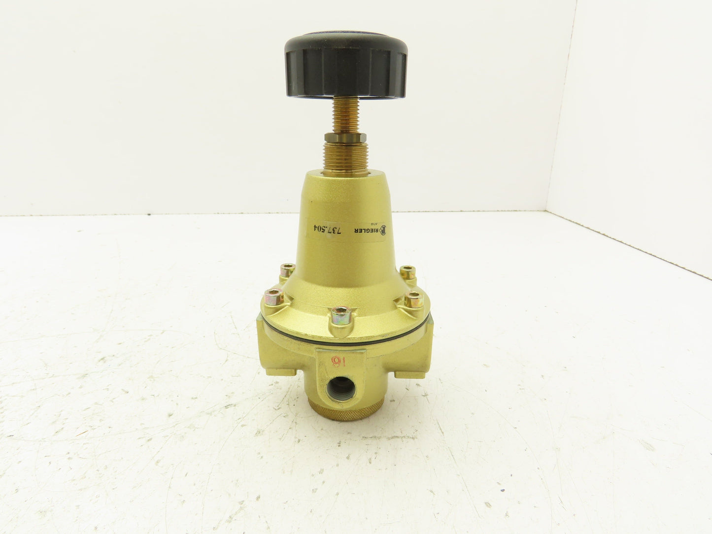 Riegler 737.504 Constant Pressure Regulator 1/2 "NPT 230 PSI