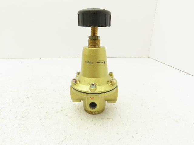 Riegler 737.504 Constant Pressure Regulator 1/2 "NPT 230 PSI