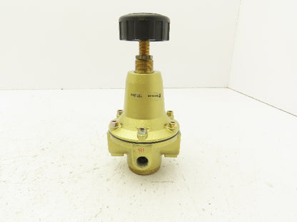Riegler 737.504 Constant Pressure Regulator 1/2 "NPT 230 PSI