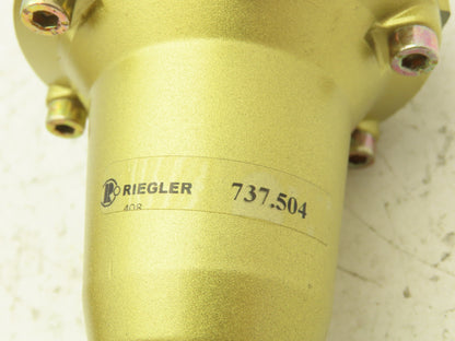 Riegler 737.504 Constant Pressure Regulator 1/2 "NPT 230 PSI