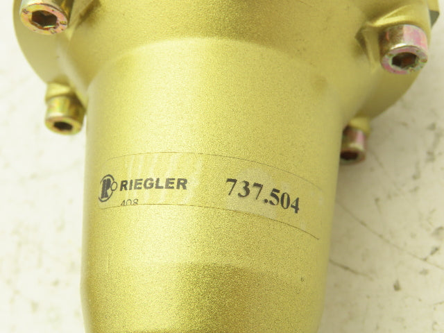 Riegler 737.504 Constant Pressure Regulator 1/2 "NPT 230 PSI
