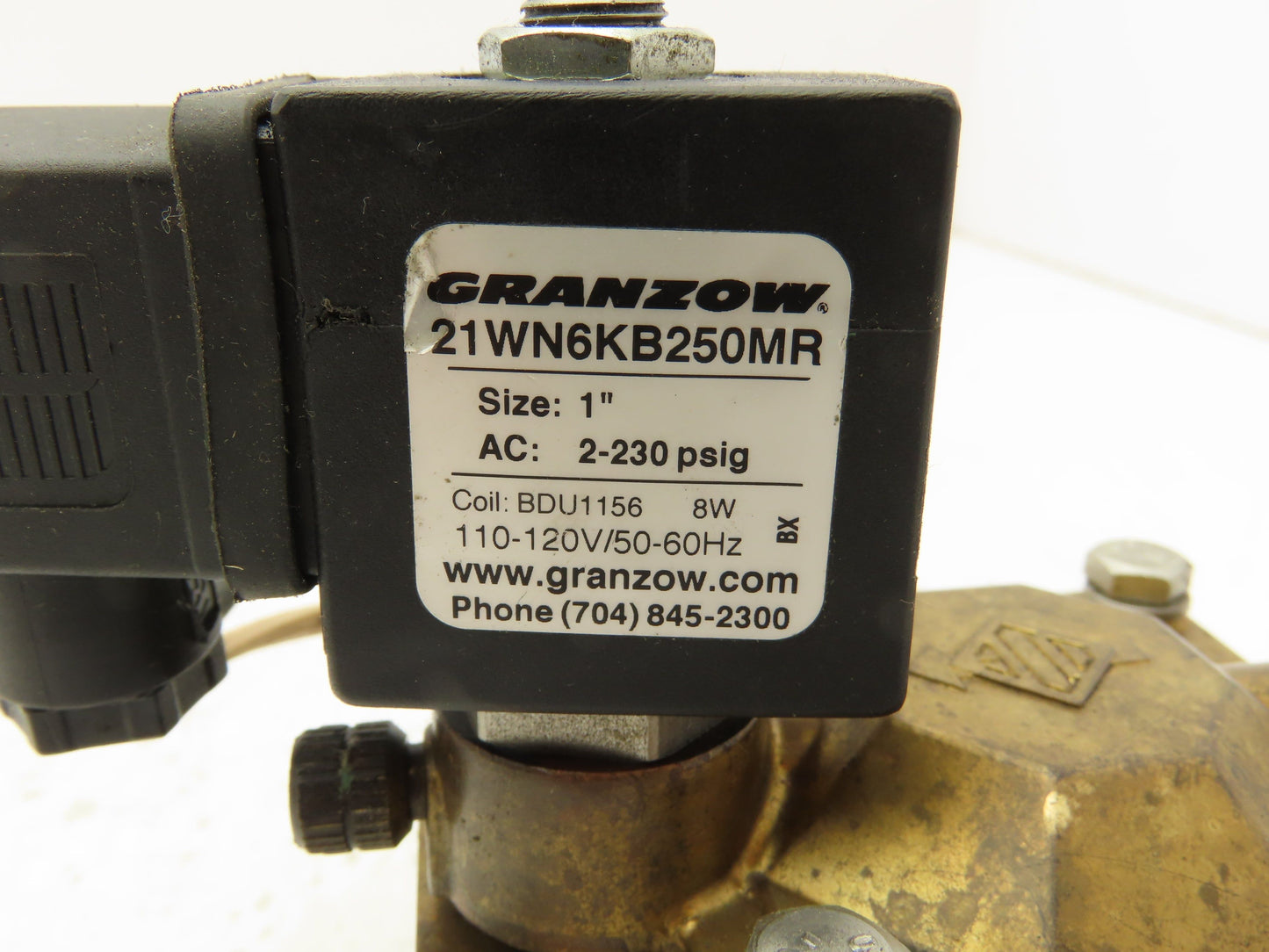 Granzow 21WN6KB250MR Brass Solenoid Valve 2-Way 1" NPT 120V Normally Closed