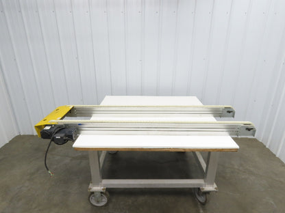 NKE CSB89A-PS-350-1600-100-90W-3 Plastic Chain Conveyor 2-Row 220V 3PH 15"x70"