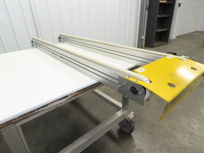 NKE CSB89A-PS-350-1600-100-90W-3 Plastic Chain Conveyor 2-Row 220V 3PH 15"x70"