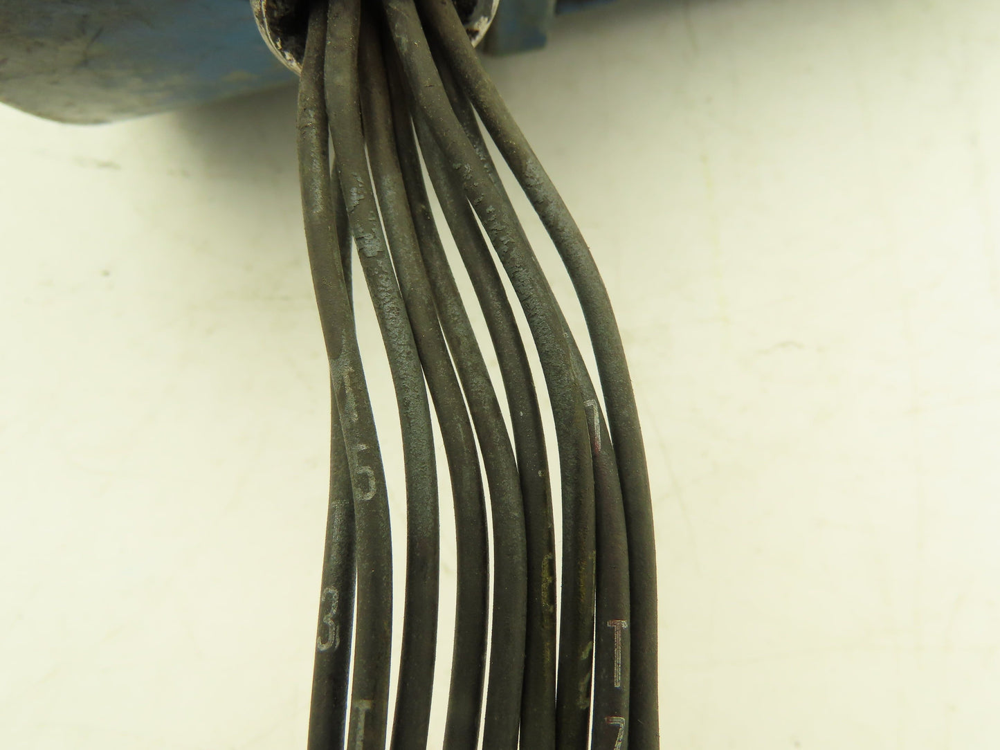 Reliance Electric B76V1756M AC Motor 3/4HP 1725RPM 230/460V 56CZ