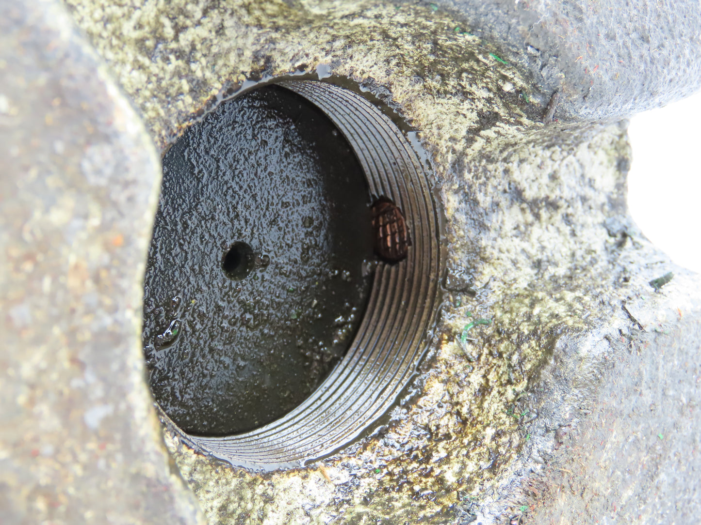 Heavy Duty Cast Iron Machine Leveling Feet Screw Leveler Pad 4.5-5.5"H