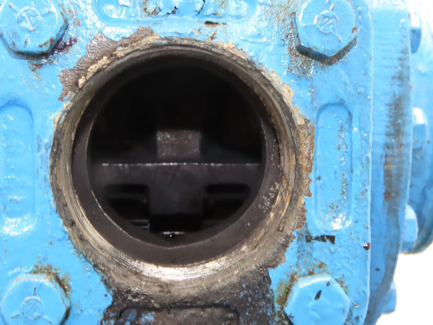 Blackmer XLW2E-N  2" Sliding Vane Pump 5Hp 230/460V RH Inlet