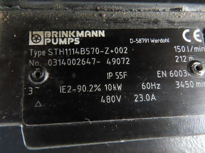 Brinkmann STH1114B570-Z Immersion Coolant Pump 40GPM 13Hp 480V 3PH 22" Depth