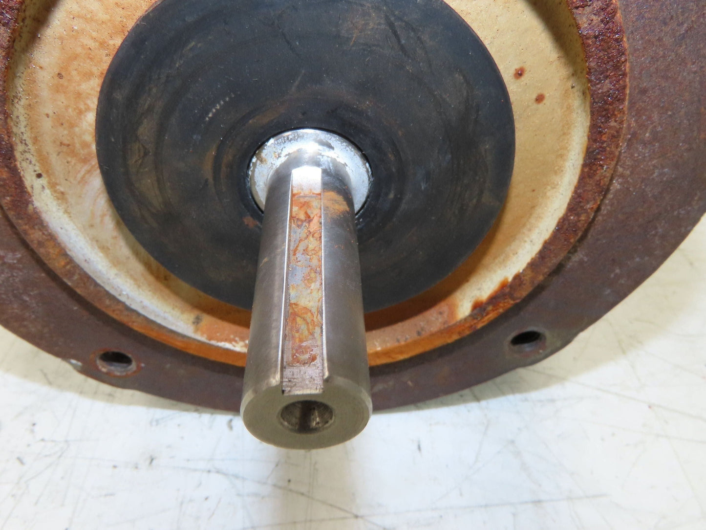 Reliance P56X4516M AC Motor 3/4Hp 1725RPM 3Ph 208-230/460V FK56C Easy Clean