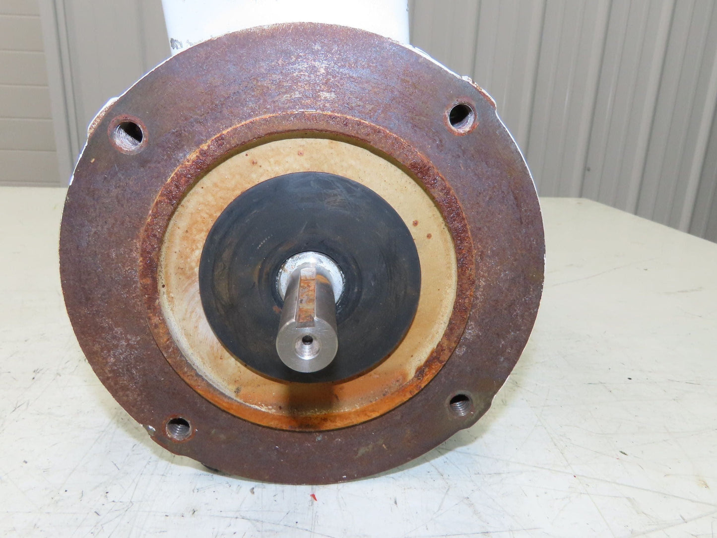 Reliance P56X4516M AC Motor 3/4Hp 1725RPM 3Ph 208-230/460V FK56C Easy Clean