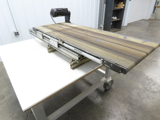 Dorner 2200 Series 21"W x 54"L Flat Belt Conveyor 115V 1PH End Drive 42fpm 530mm