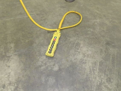 CM Lodestar RT2 3 Ton Electric Chain Hoist 13' Lift 2 Speed 635 Power Trolley