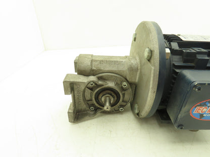 Bonfiglioli VF49 A10 P80 B5 B3 Gearmotor 10:1 169rpm 14mm Dual Shaft 1Hp 230/460