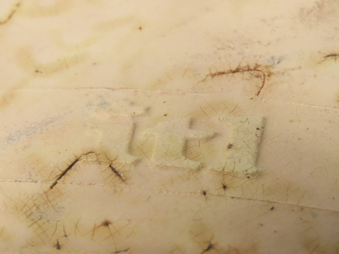 ITL GPX 22x9x16 Press-On Forklift Tire Solid Smooth Non-Marking White