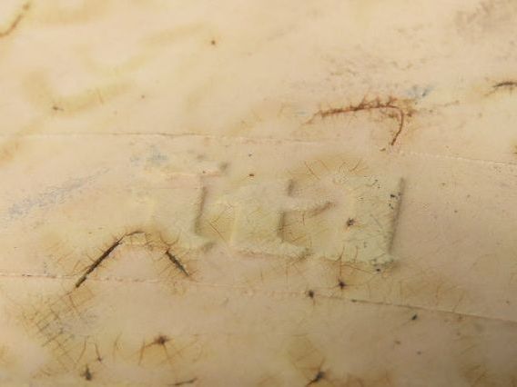 ITL GPX 22x9x16 Press-On Forklift Tire Solid Smooth Non-Marking White