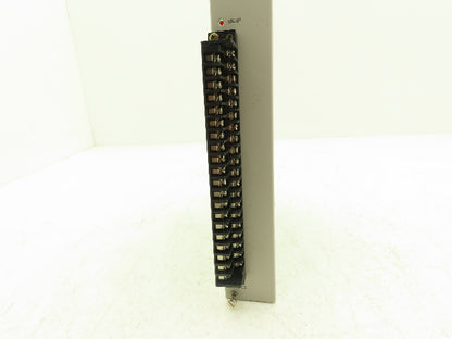 Siemens 505-6202 2 Channel Analog Output Module