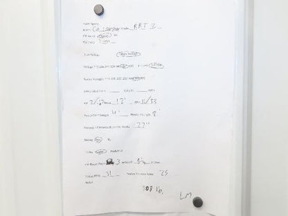 CM Lodestar RRT2 3 ton Electric Chain Hoist 11/3.3 FPM 12' L 635 Power Trolley