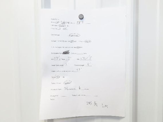 CM Lodestar RT2 3 Ton Electric Chain Hoist 5/1.75 FPM 2 Speed 12' Lift Tolley