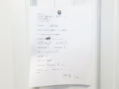 CM Lodestar RT2 3 Ton Electric Chain Hoist 5/1.75 FPM 2 Speed 12' Lift Tolley