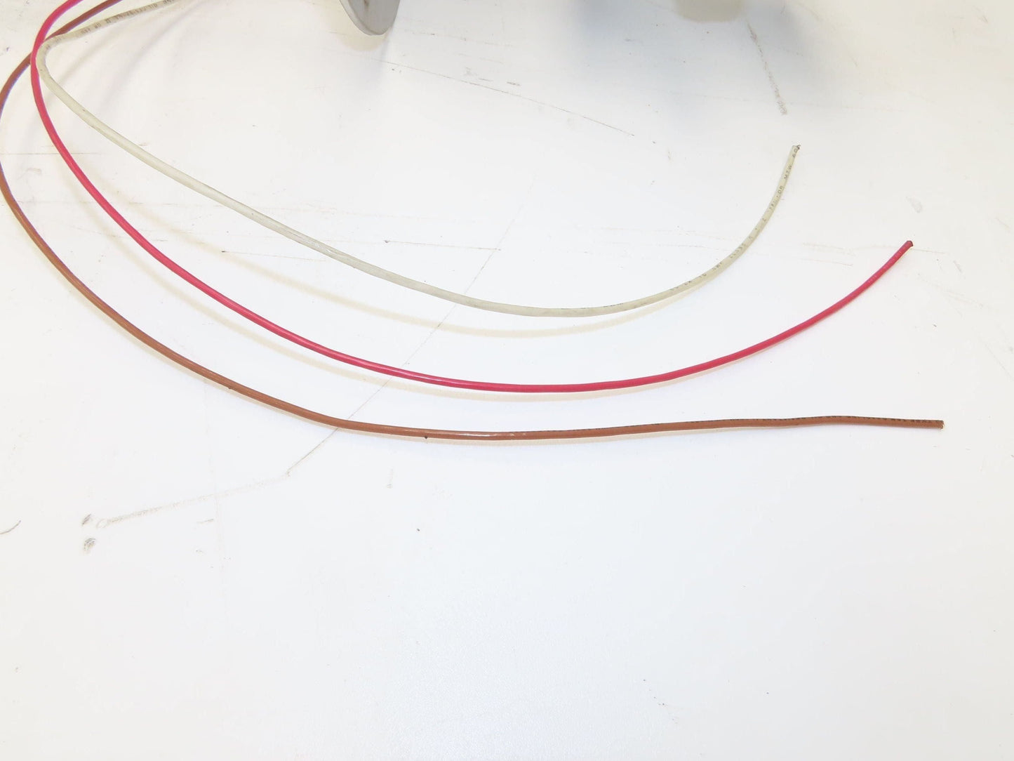 Bindicator LP11A1DA30 Pulse Point Vibrating Fork Level Sensor 31" Probe 8"Flange