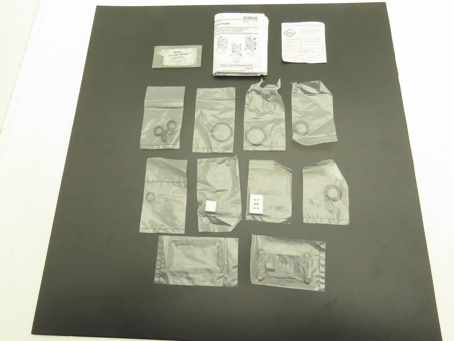 Binks 862004 Air Motor Repair Service Kit - Complete