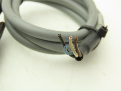 Schmersal BNS 33-11z Magnetic Safety Switch Sensor 100VAC Lot of 4