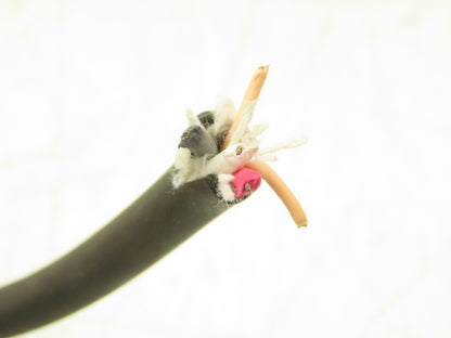 Oriental AC Gearmotor 5RK90GE-CW2M 90W 97rpm 230V 1Ph SOL5