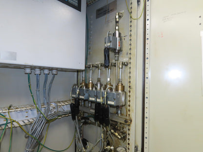 Bielomatik RAASM Pneumatic 16Gal Drum Grease Pump 6 Port EPIS Controls