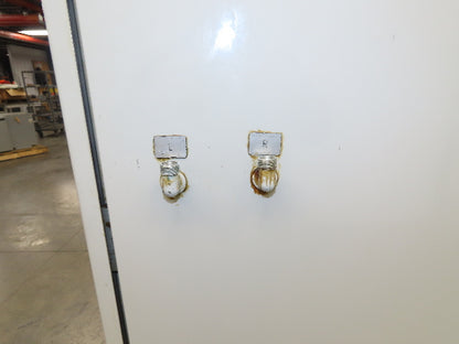 Bielomatik RAASM Pneumatic 16Gal Drum Grease Pump 6 Port EPIS Controls